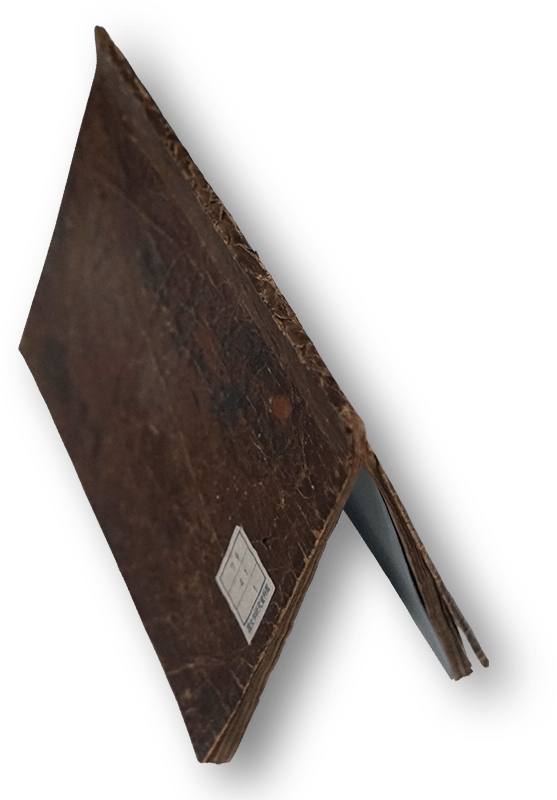 墨田河扇あはせ