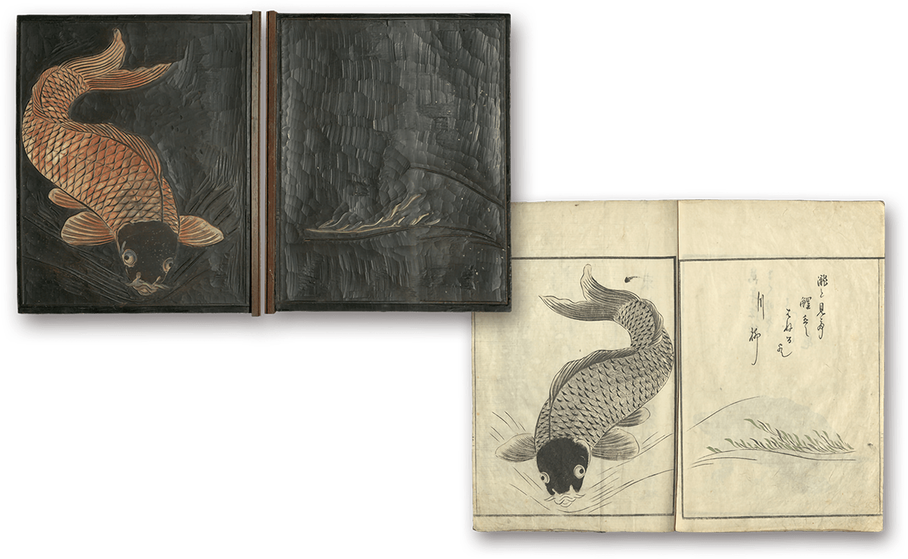 魚貝譜の版木と魚貝譜