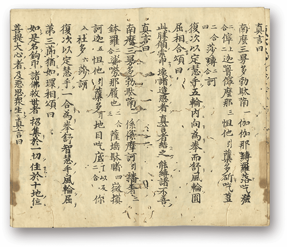 大毘盧遮那成仏神変加持経